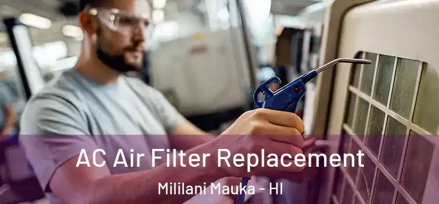  AC Air Filter Replacement Mililani Mauka - HI