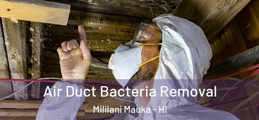 Air Duct Bacteria Removal Mililani Mauka - HI