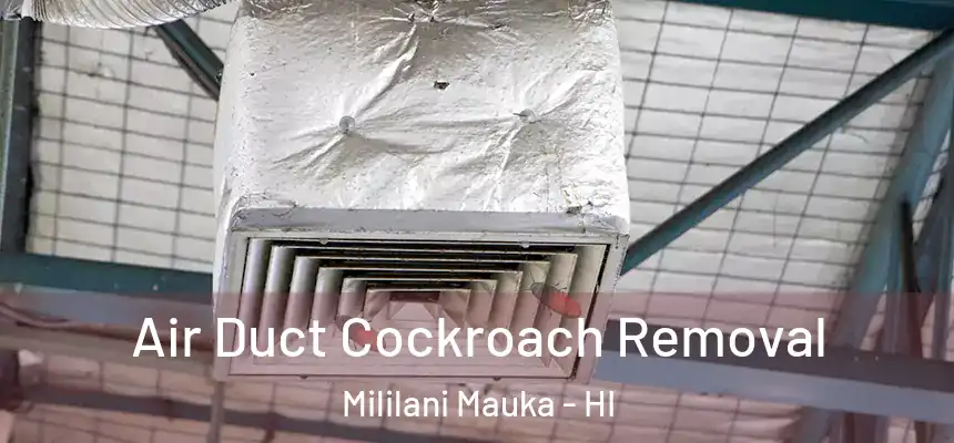 Air Duct Cockroach Removal Mililani Mauka - HI
