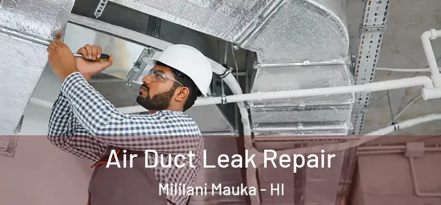  Air Duct Leak Repair Mililani Mauka - HI