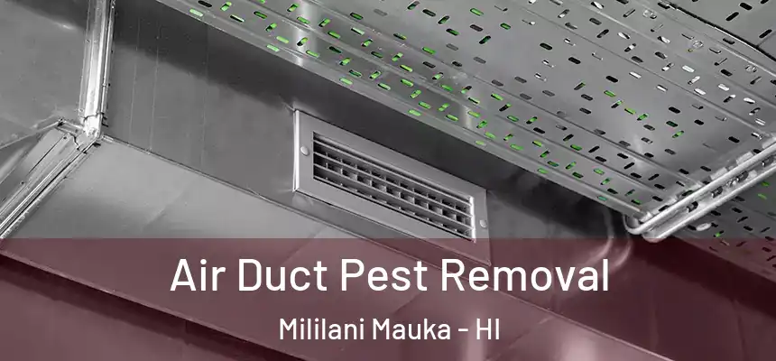  Air Duct Pest Removal Mililani Mauka - HI