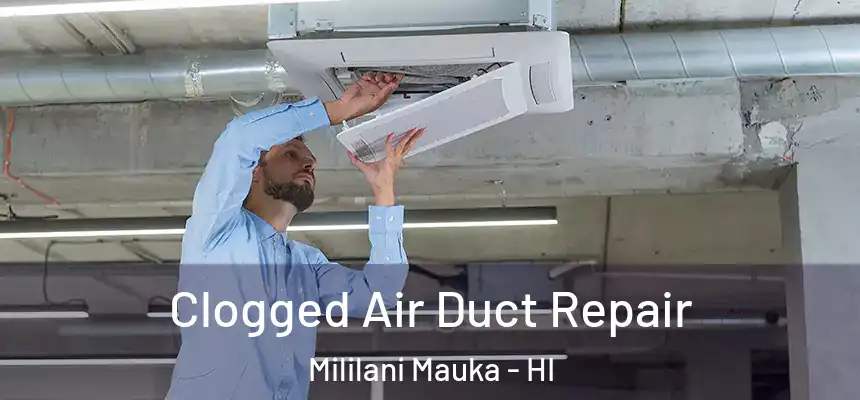 Clogged Air Duct Repair Mililani Mauka - HI