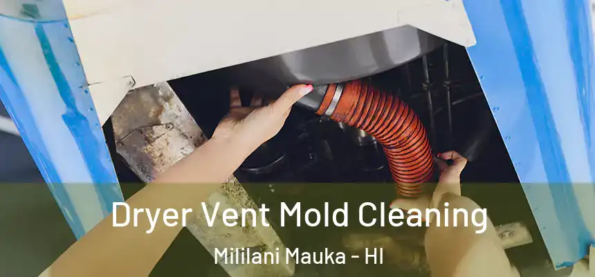 Dryer Vent Mold Cleaning Mililani Mauka - HI