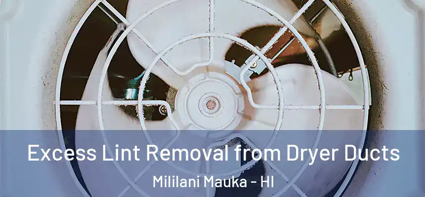  Excess Lint Removal from Dryer Ducts Mililani Mauka - HI