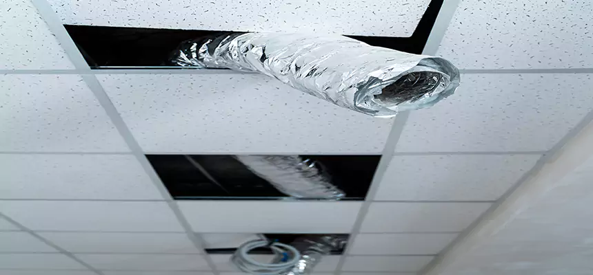 Affordable HVAC Sanitizing After Pest Removal in Mililani Mauka