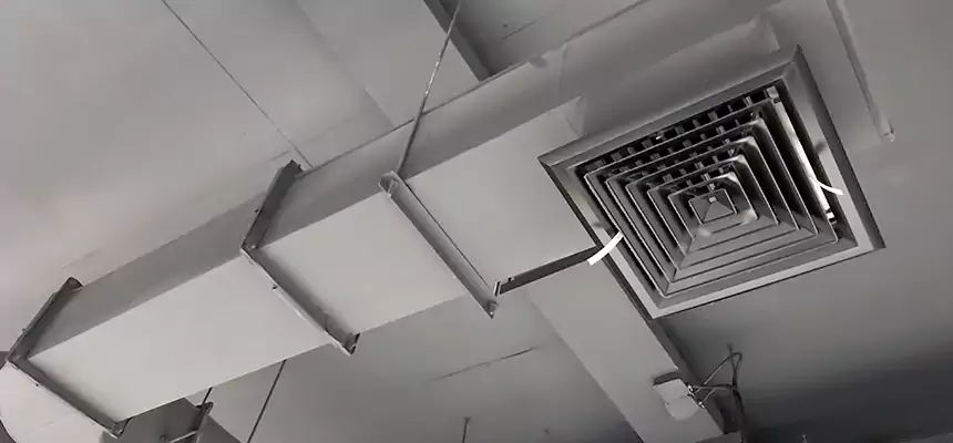 Our Pest Removal From Ducts Services in Mililani Mauka, HI