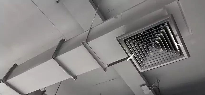 Our Rodent Droppings In Vents Services in Mililani Mauka, HI