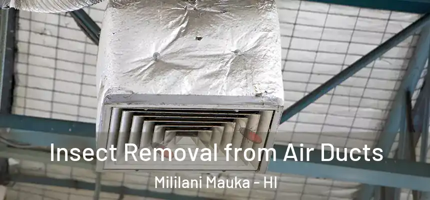 Insect Removal from Air Ducts Mililani Mauka - HI
