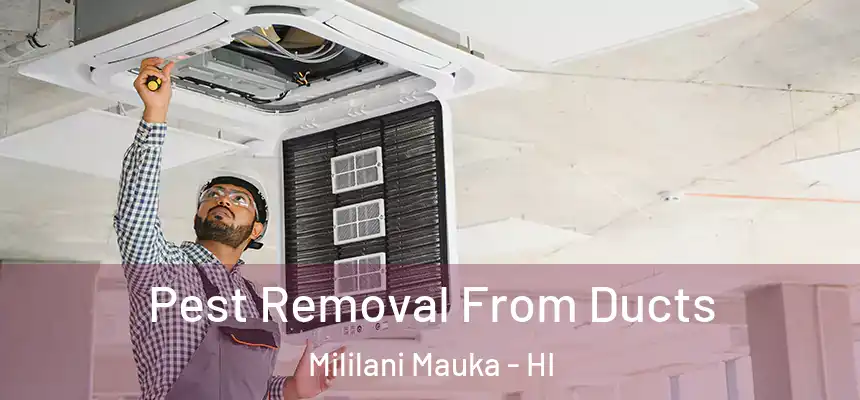  Pest Removal From Ducts Mililani Mauka - HI