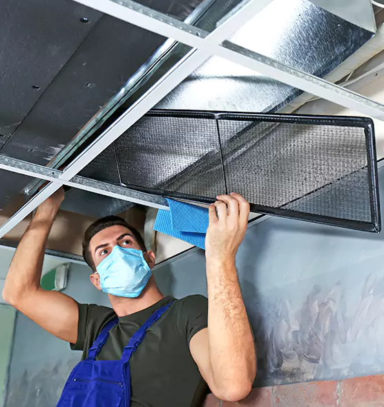 About Air Duct Bacteria Removal in Mililani Mauka