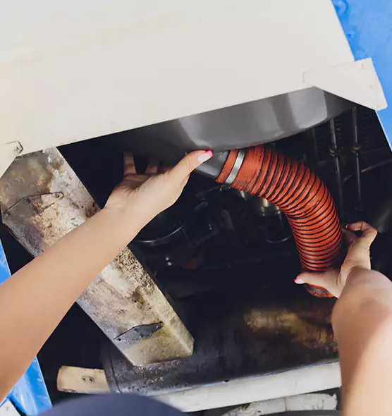 About Air Duct Virus Disinfection in Mililani Mauka, HI