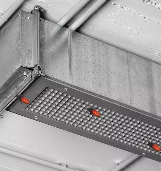 Affordable Insect Removal from Air Ducts in Mililani Mauka, HI