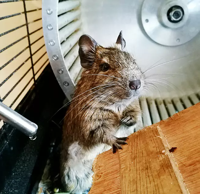 Why Homeowners & Businesses Trust Us Mililani Mauka, HI?