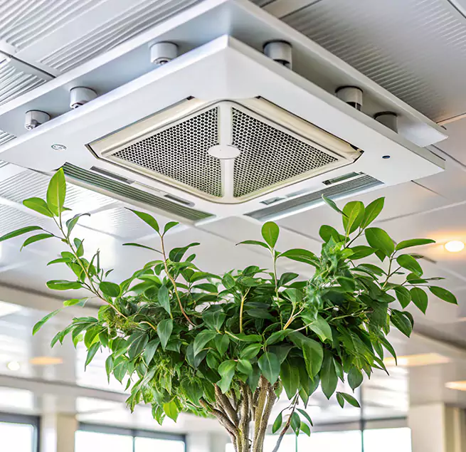 Why Homeowners & Businesses Trust Us in Mililani Mauka, HI?