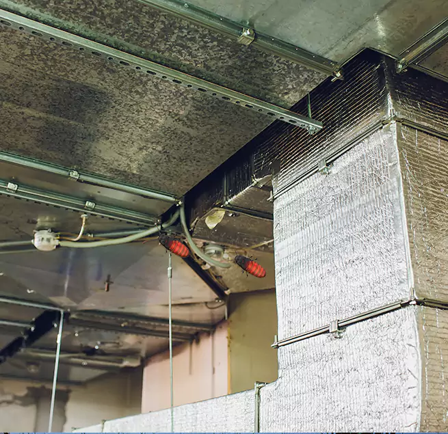 Why Homeowners & Businesses Trust Us Mililani Mauka, HI?