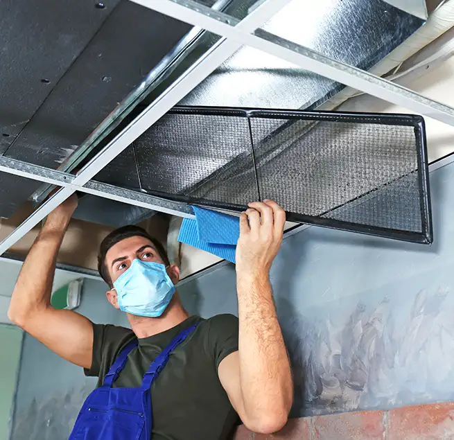 Why Homeowners & Businesses Trust Us in Mililani Mauka, HI?