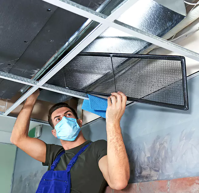 Why Homeowners Businesses Trust Us in Mililani Mauka, HI?